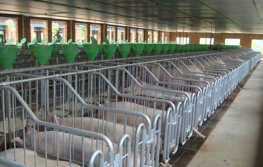 gBi͑,ĸia,Ĵָĸia,ĴָBiO,ʳ,LɳBiO,i˹ھ,LɳBiO乫˾,i˹ھ,iO,ϴĴָCе޹˾,LɳĴָBiOS,LɳBiе